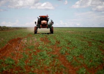 crise no agronegócio, colapso no setor agrícola
