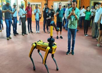 Evento agrícola, Feira do agronegócio, Exposição rural