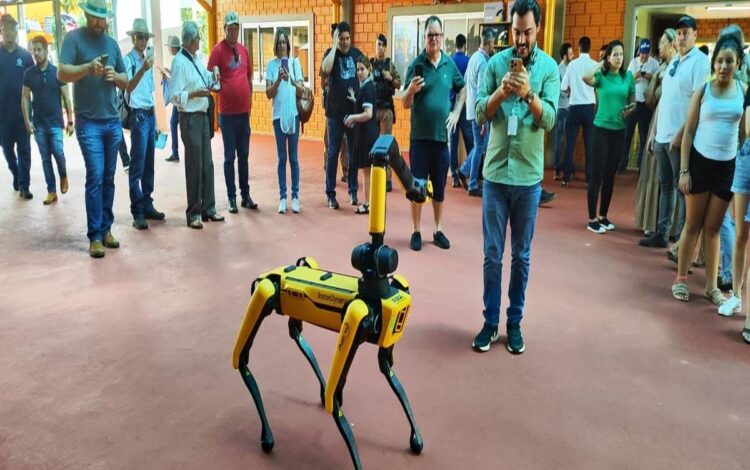 Evento agrícola, Feira do agronegócio, Exposição rural