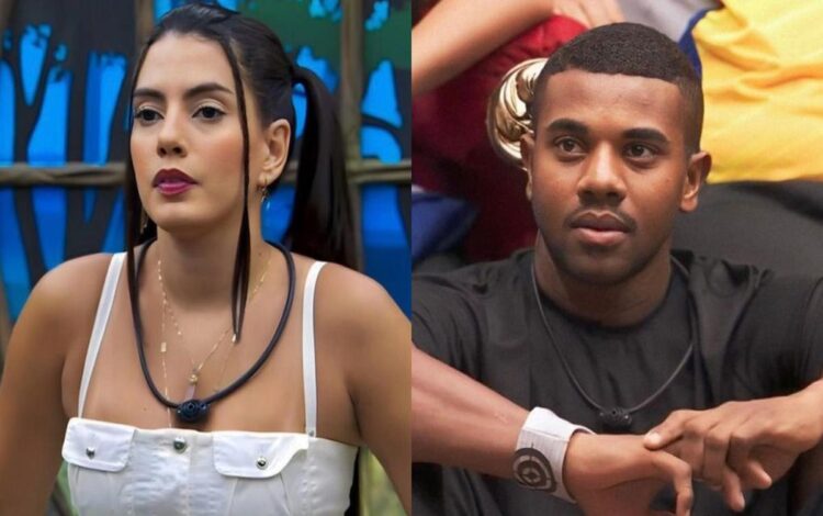 participante, sister, vídeo, equipe, postagem, contexto, origem