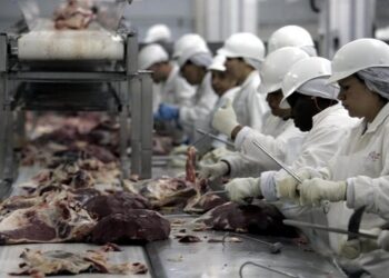 produtoras de carnes, empresas do setor de carnes, empresas frigoríficas