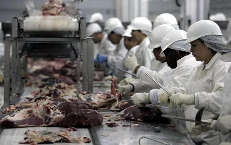 produtoras de carnes, empresas do setor de carnes, empresas frigoríficas