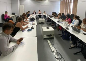 formação de professores de educação infantil, docentes da educação infantil, programa Leitura e Escrita na Educação Infantil, Compromisso Nacional Criança Alfabetizada