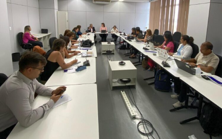 formação de professores de educação infantil, docentes da educação infantil, programa Leitura e Escrita na Educação Infantil, Compromisso Nacional Criança Alfabetizada