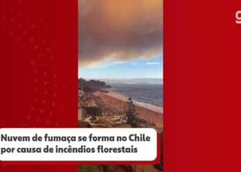 queimadas, fogos florestais