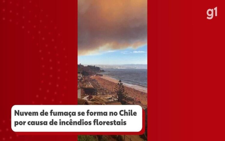 queimadas, fogos florestais