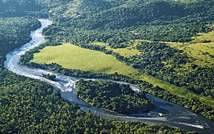 intervenção prejudicial ao meio ambiente, impacto ambiental