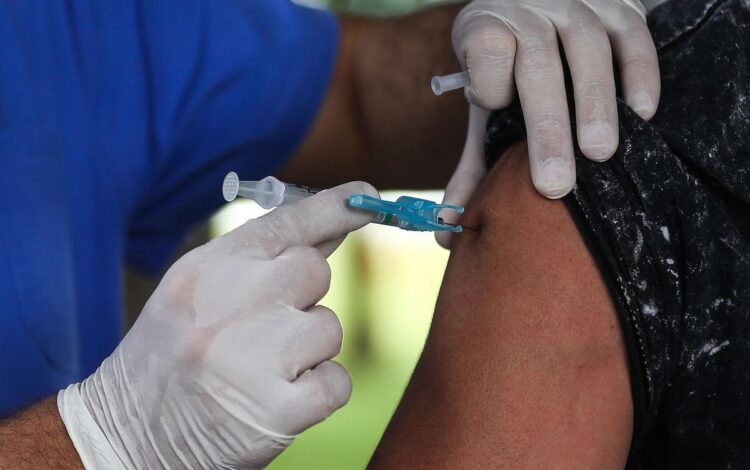certificado fraudulento, certificado adulterado
