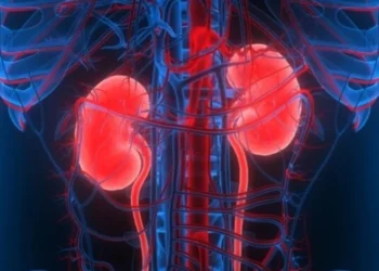 insuficiência renal, doença nos rins, problema renal