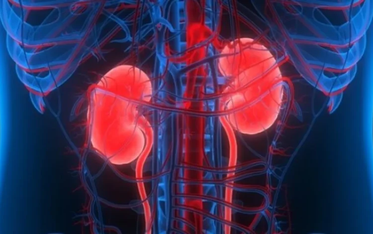 insuficiência renal, doença nos rins, problema renal