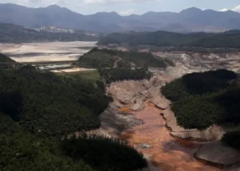acordo, de indenização, liquidação, obrigações.