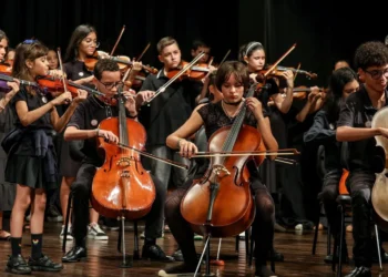 instituição de música, centro de música, conservatório de música