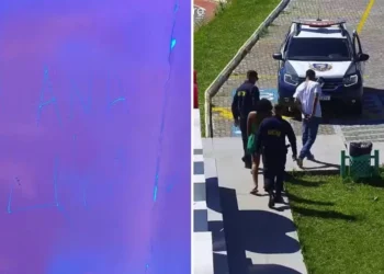 danificar, crime contra patrimônio público;