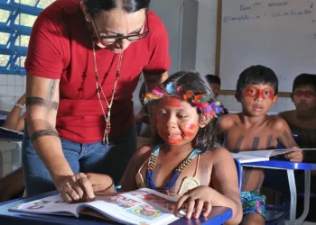 educação própria dos povos indígenas, ensino para povos originários, formação de professores indígenas