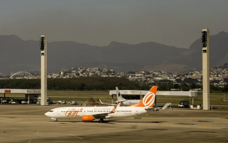 transporte de animais, transporte de animais de estimação