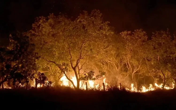 focos de queimadas, ocorrencias de queimadas, incêndios;