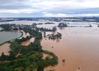 reunião, governo, federal, monitorar;