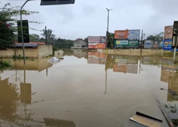 precipitação, pluviamento;