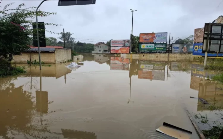 precipitação, pluviamento;