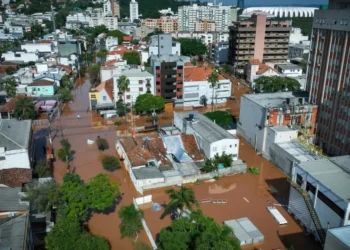 doença, infecciosa, bactéria, leptospira, urina, de roedores