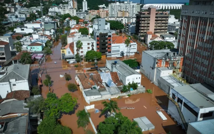 doença, infecciosa, bactéria, leptospira, urina, de roedores