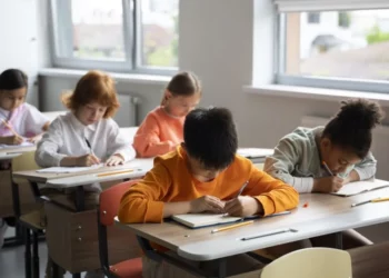 pesquisa, estatística, levantamento educacional;