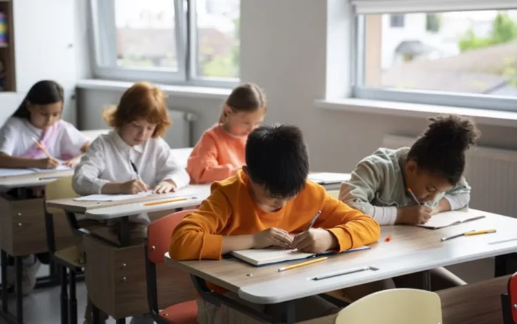 pesquisa, estatística, levantamento educacional;