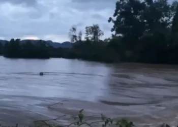 pardo, corrente, inundações, chuva, forte, tempestade, severa, inundações, urbanas, inundações, fluviais.