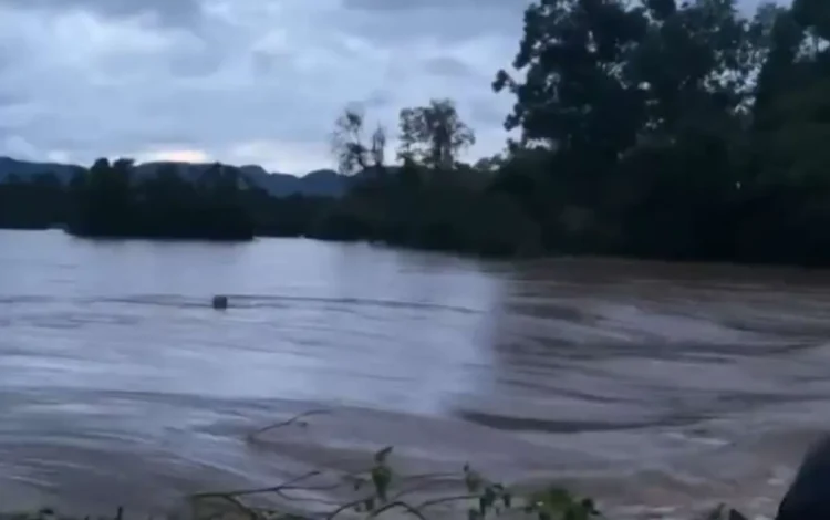 pardo, corrente, inundações, chuva, forte, tempestade, severa, inundações, urbanas, inundações, fluviais.