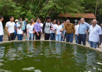 Projeto de Combate à Fome, Projeto de Produção Alimentar Autônoma;