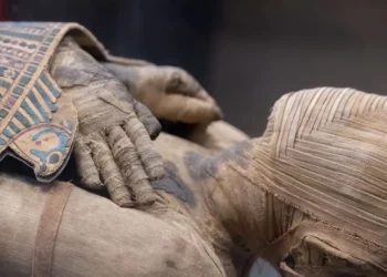 recriação, de cabeça, de múmia, fábrica, de rosto, de múmia;