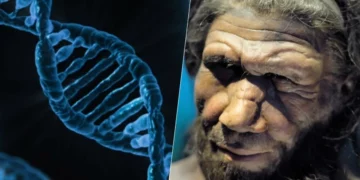 legado, genético de Neandertais, vestígios genéticos de Neandertais;