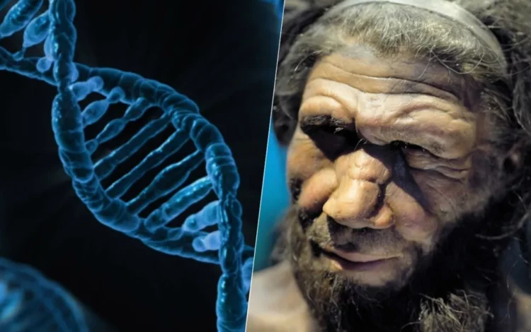 legado, genético de Neandertais, vestígios genéticos de Neandertais;
