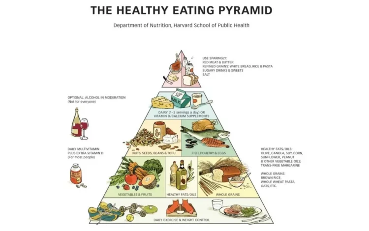 alimentação equilibrada, dieta saudável, alimentação saudável;