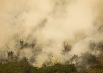 acção contra incendios, luta contra incendios, ação de emergência contra incendios, combate a incendios florestais, controle de incendios.