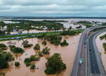 Lei de Adaptação ao Clima, Lei de Mitigação Impacto Climático;