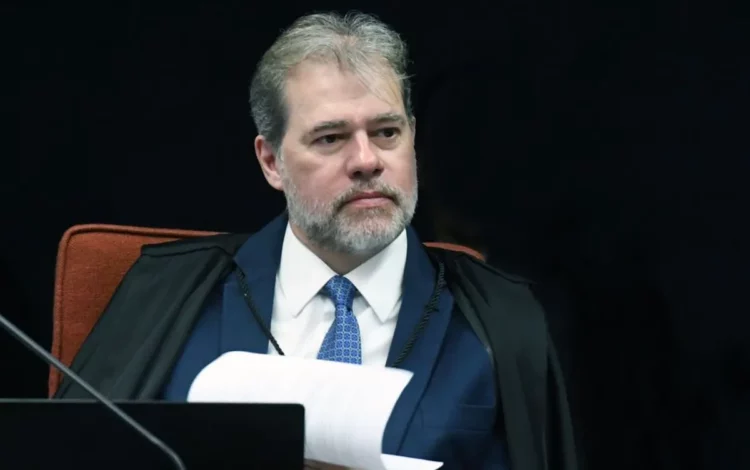 judicial, intervenção, judicialização, revisão;