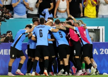 seleção, uruguaia, Celeste