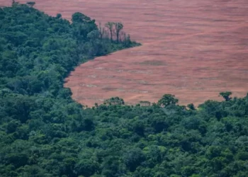 destruição, ambiental;