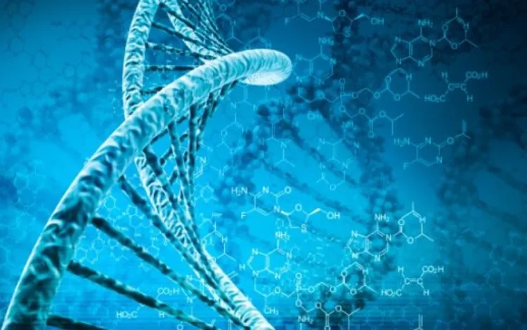 modificações hereditárias que não alteram a sequência do DNA;;