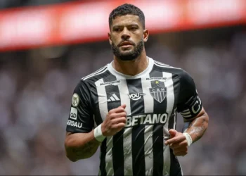 Galo, clube, mineiro;