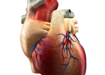 Insuficiência Cardiovascular