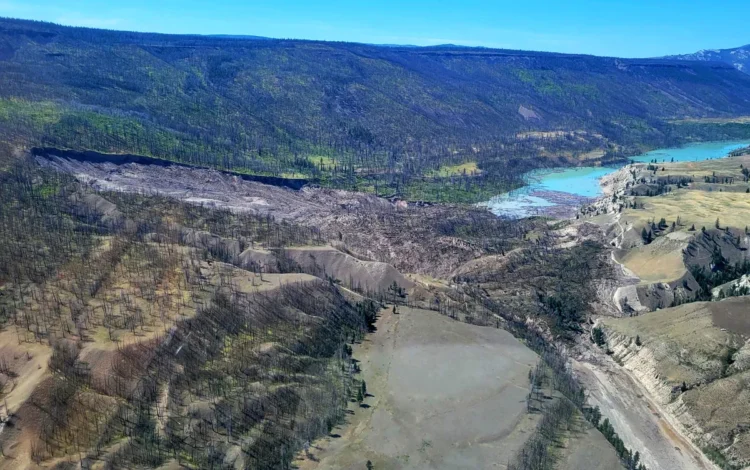 landslide, terraslide;