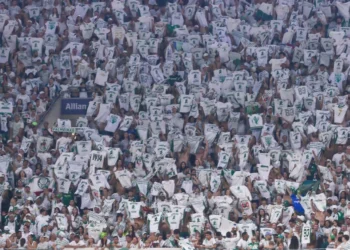 torcida, grupo, de torcedores;